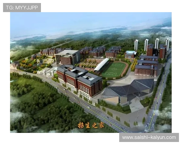 北京业余与职业融合发展全景解析城市足球联赛体系与未来趋势深度观察